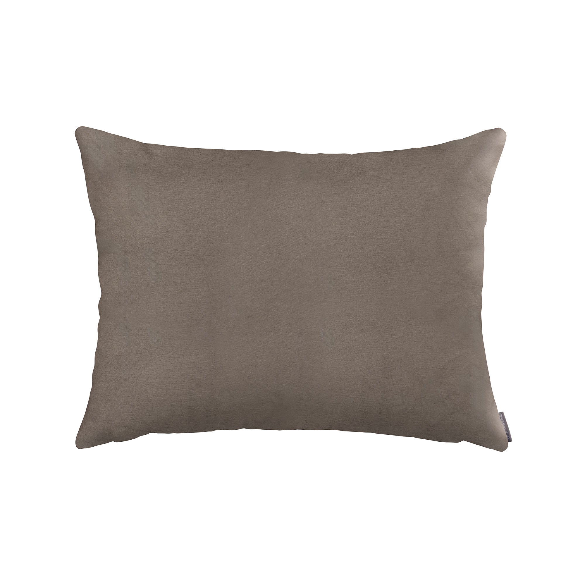 Vivie Ecru Luxe Euro Pillow (27x36) by Lili Alessandra