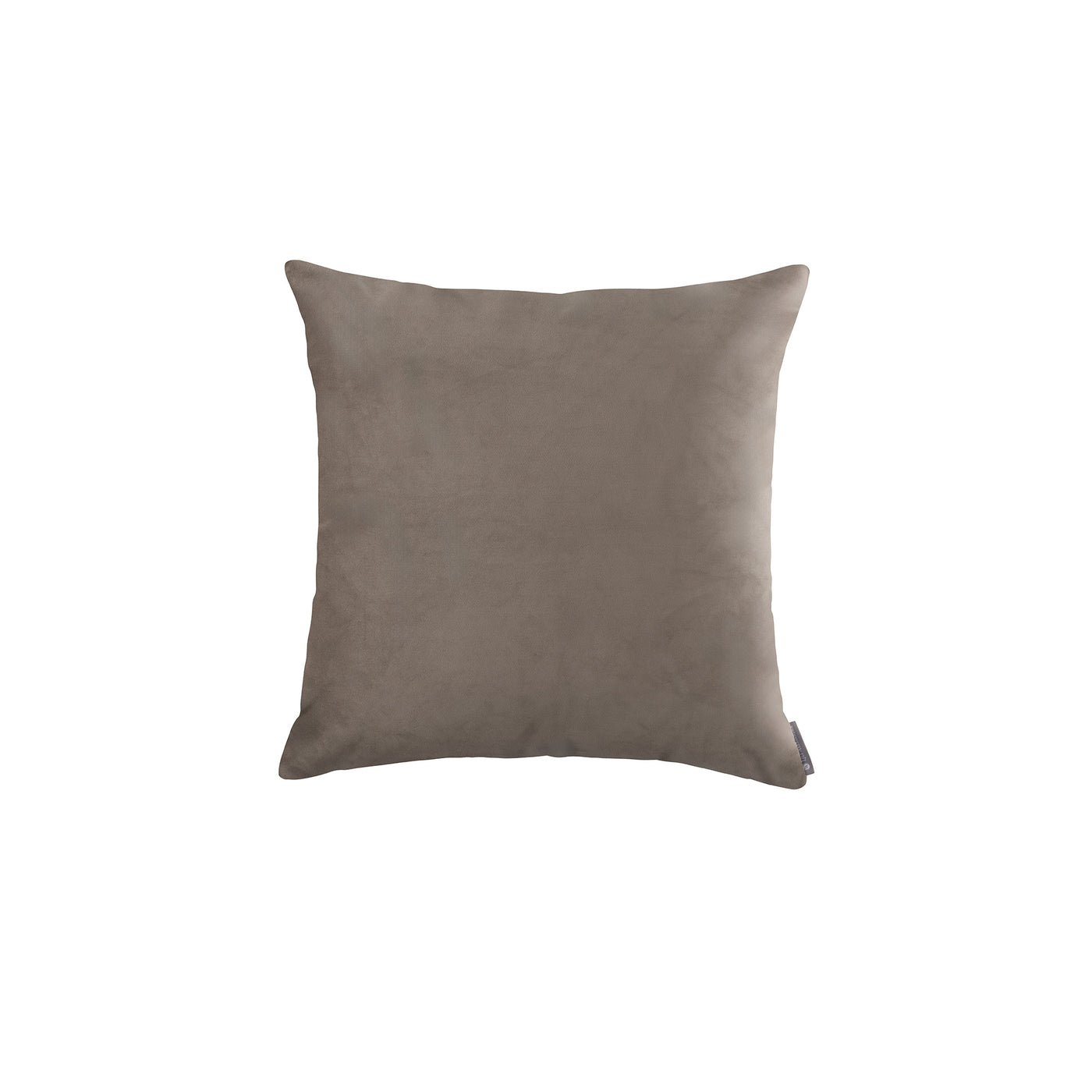Vivid Ecru European Pillow (26x26)