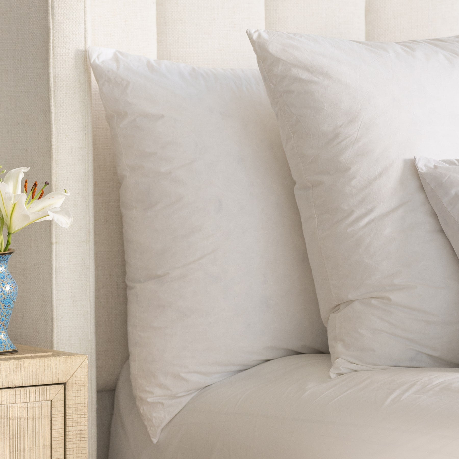 Luxe Euro Pillow Insert 29X39 by Lili Alessandra