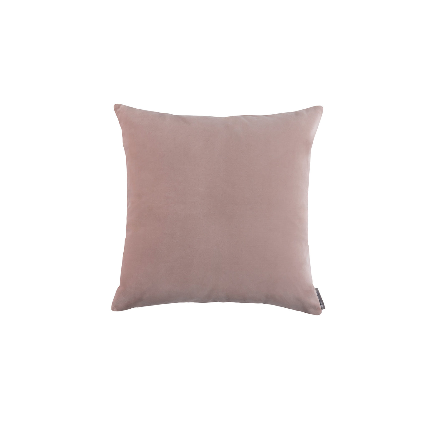 Vivid Cameo Small Square Pillow (22x22)