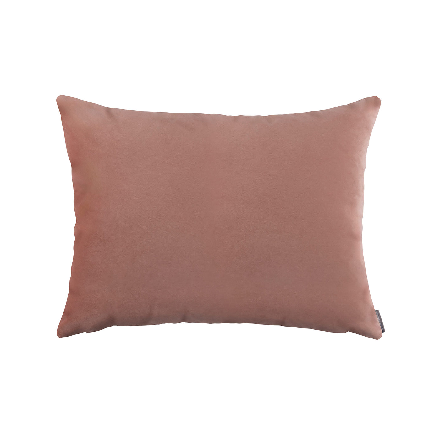 Vivid Shell Luxe Euro Pillow (27x36)
