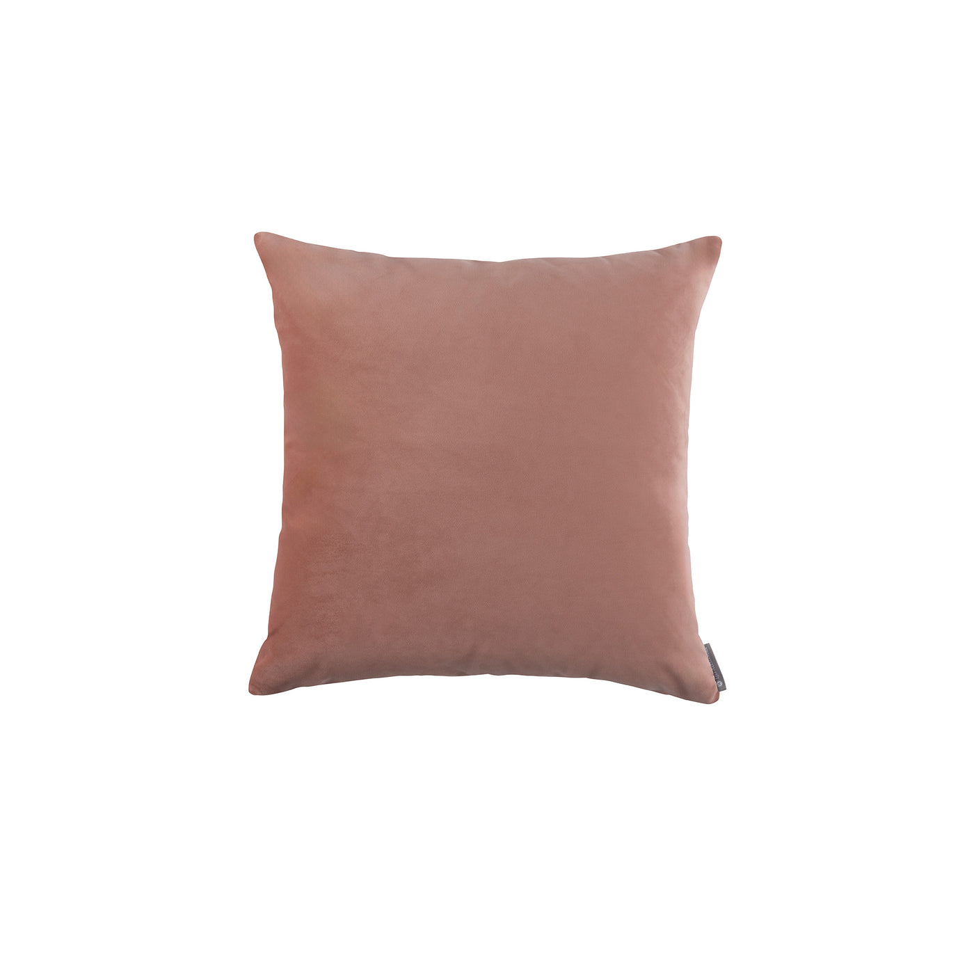 Vivid Shell Small Square Pillow (22x22)