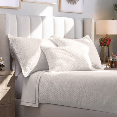 Dawn Standard Pillow White 20X26