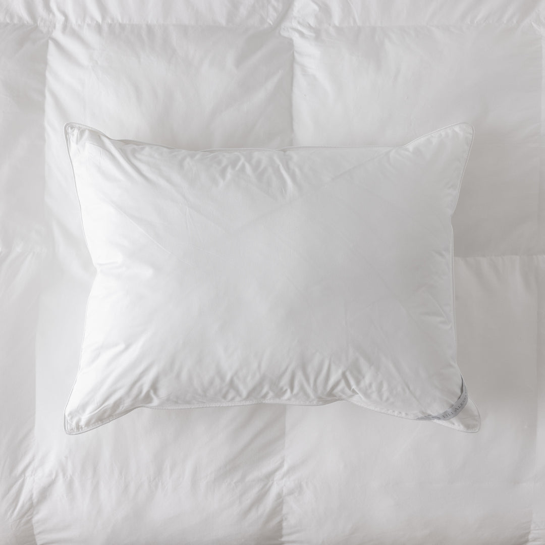 Standard Sleeping Pillow 20x27 (Medium) by Lili Alessandra