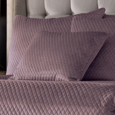 Valentina Quilted Standard Pillow Raisin 20X26